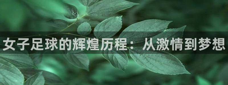 女子足球的辉煌历程：从激情到梦想
