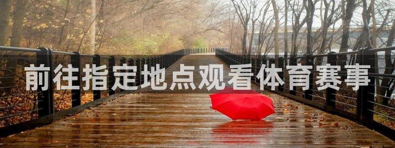 前往指定地点观看体育赛事