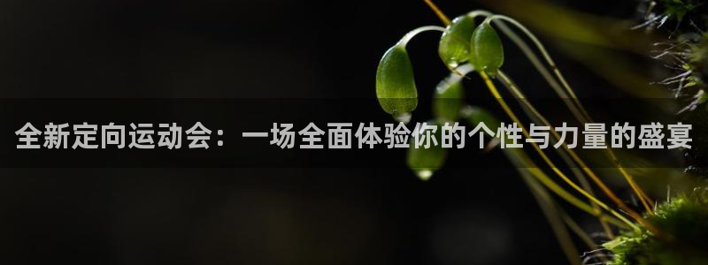 全新定向运动会：一场全面体验你的个性与力量的盛宴