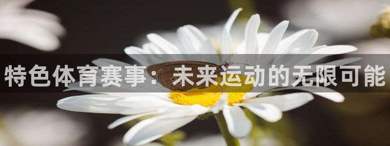 特色体育赛事：未来运动的无限可能