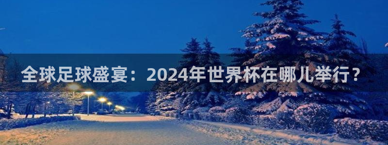 全球足球盛宴：2024年世界杯在哪儿举行？