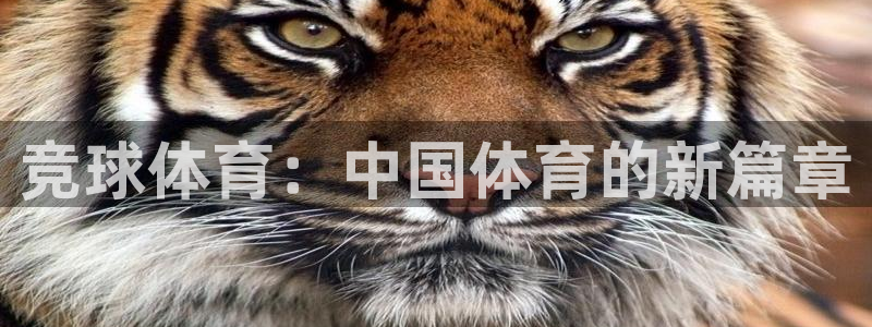 竞球体育：中国体育的新篇章