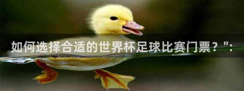 如何选择合适的世界杯足球比赛门票？\