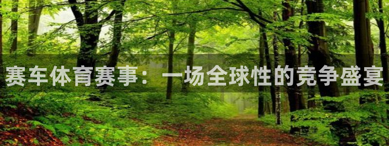 赛车体育赛事：一场全球性的竞争盛宴