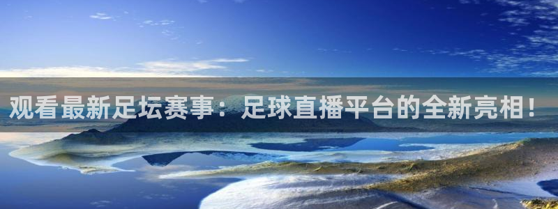 观看最新足坛赛事：足球直播平台的全新亮相！