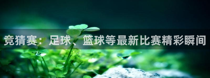 竞猜赛：足球、篮球等最新比赛精彩瞬间