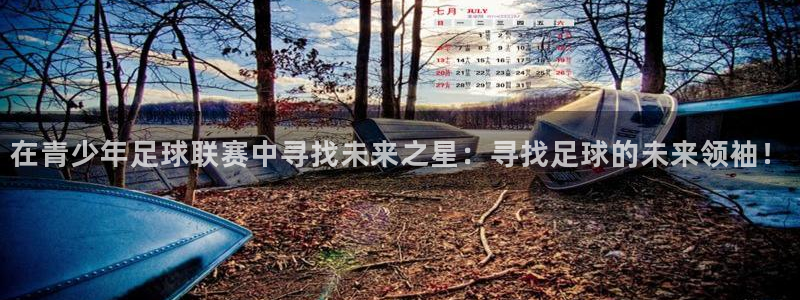 在青少年足球联赛中寻找未来之星：寻找足球的未来领袖！