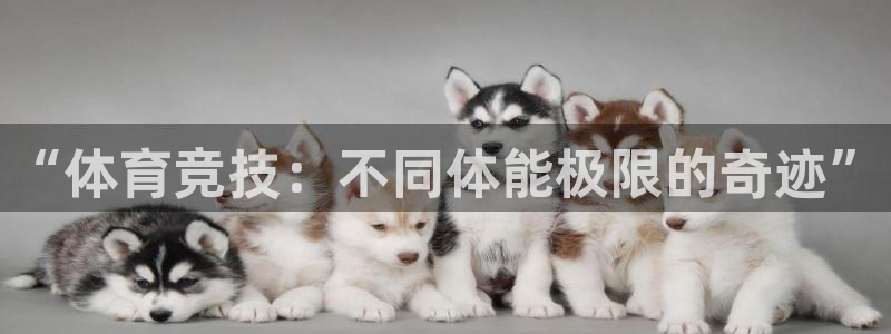 “体育竞技：不同体能极限的奇迹”