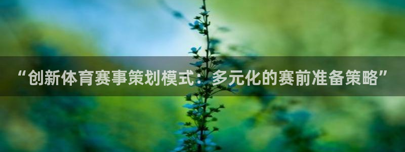 “创新体育赛事策划模式：多元化的赛前准备策略”