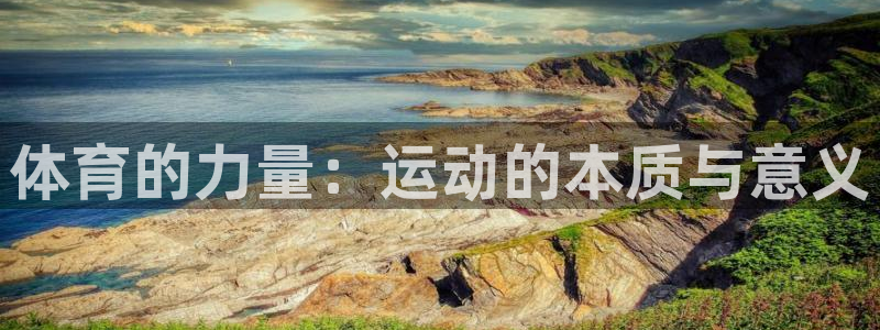 体育的力量：运动的本质与意义