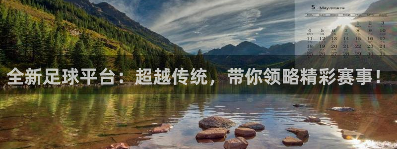 全新足球平台：超越传统，带你领略精彩赛事！