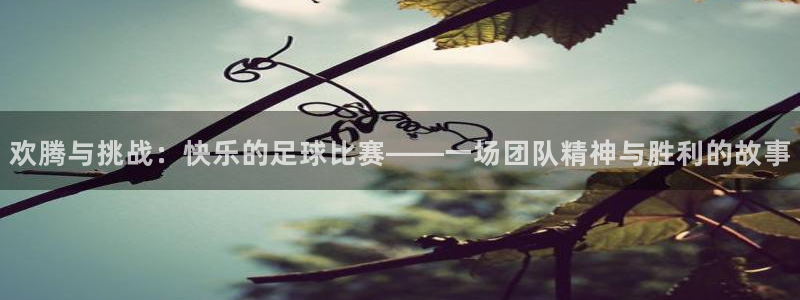 欢腾与挑战：快乐的足球比赛——一场团队精神与胜利的故事