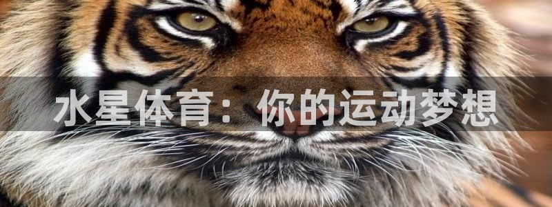 水星体育：你的运动梦想