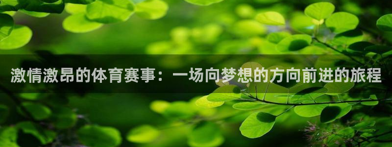激情激昂的体育赛事：一场向梦想的方向前进的旅程