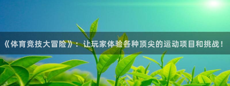 《体育竞技大冒险》：让玩家体验各种顶尖的运动项目和挑战！