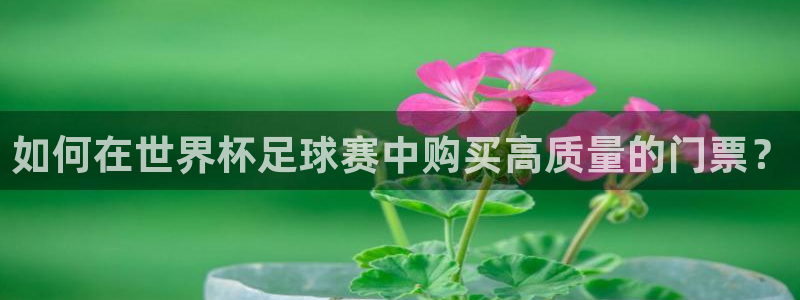 如何在世界杯足球赛中购买高质量的门票？