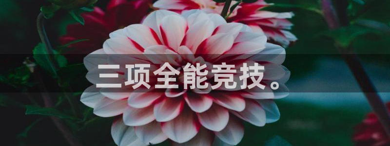 三项全能竞技。