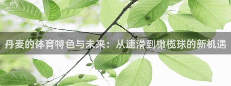 丹麦的体育特色与未来：从速滑到橄榄球的新机遇