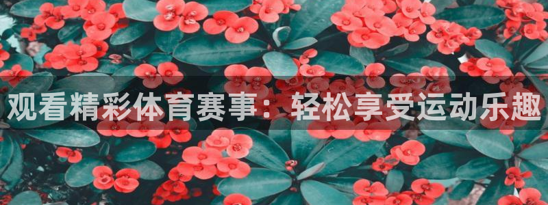 观看精彩体育赛事：轻松享受运动乐趣