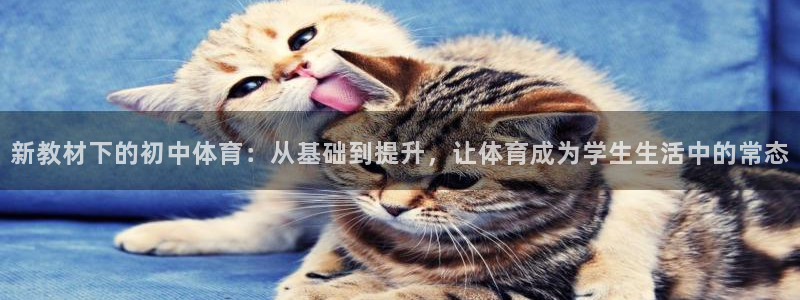 新教材下的初中体育：从基础到提升，让体育成为学生生活中的常态