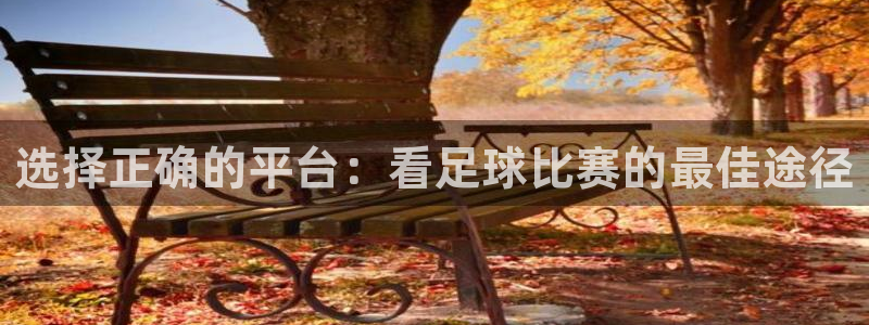 选择正确的平台：看足球比赛的最佳途径