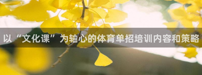以“文化课”为轴心的体育单招培训内容和策略
