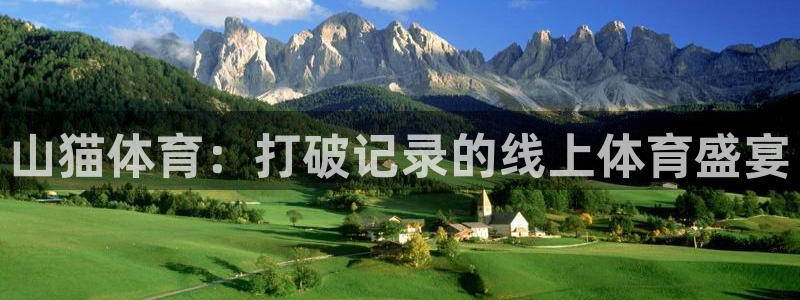 山猫体育：打破记录的线上体育盛宴
