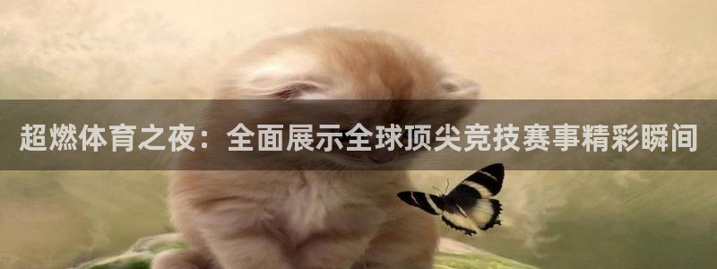 超燃体育之夜：全面展示全球顶尖竞技赛事精彩瞬间