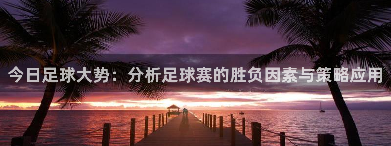 今日足球大势：分析足球赛的胜负因素与策略应用