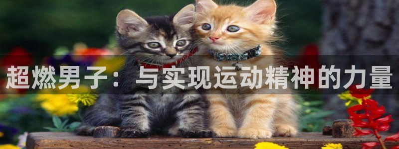 超燃男子：与实现运动精神的力量