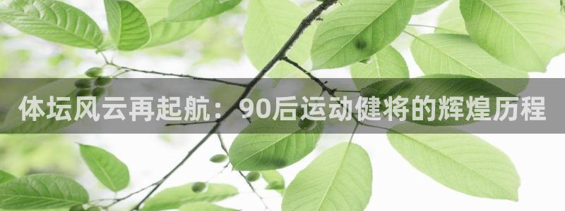 体坛风云再起航：90后运动健将的辉煌历程