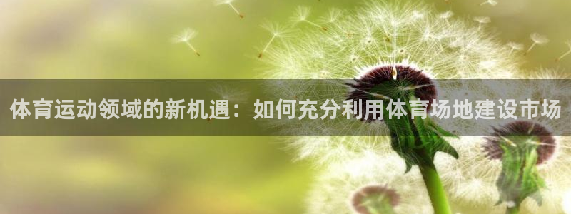 体育运动领域的新机遇：如何充分利用体育场地建设市场