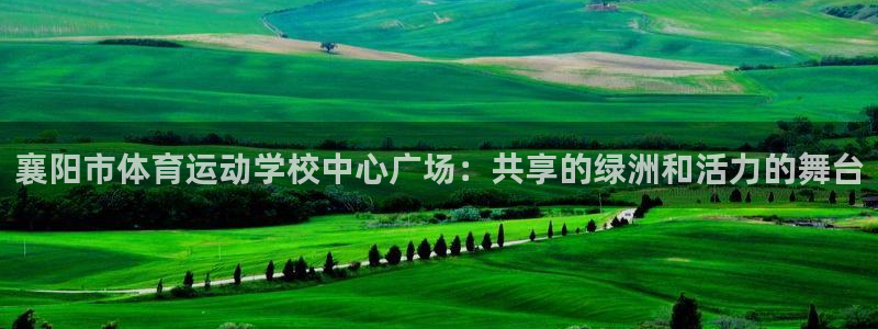 襄阳市体育运动学校中心广场：共享的绿洲和活力的舞台