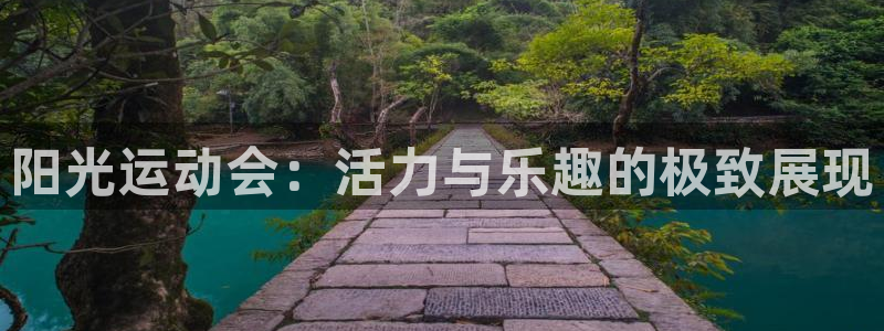 阳光运动会：活力与乐趣的极致展现