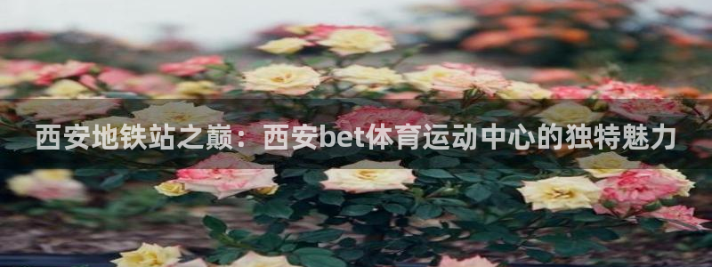 西安地铁站之巅：西安bet体育运动中心的独特魅力