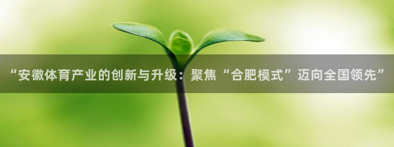 “安徽体育产业的创新与升级：聚焦“合肥模式”迈向全国领先”