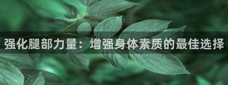 强化腿部力量：增强身体素质的最佳选择