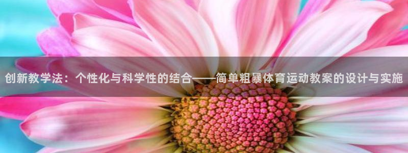 创新教学法：个性化与科学性的结合——简单粗暴体育运动教案的设计与实施
