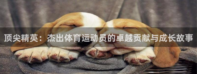 顶尖精英：杰出体育运动员的卓越贡献与成长故事