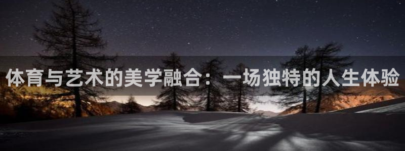 体育与艺术的美学融合：一场独特的人生体验