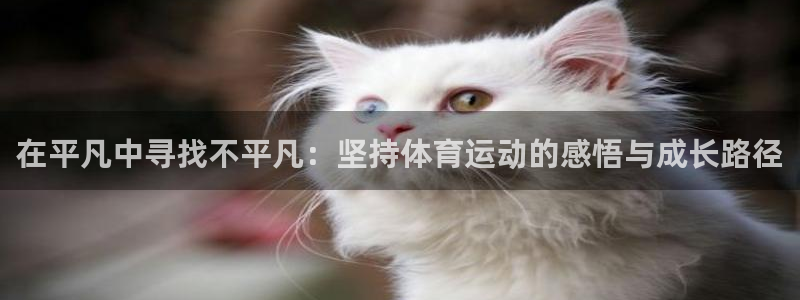 在平凡中寻找不平凡：坚持体育运动的感悟与成长路径