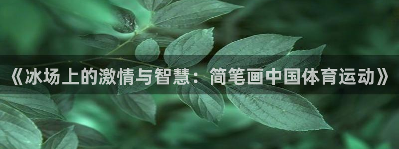 《冰场上的激情与智慧：简笔画中国体育运动》