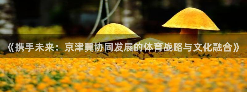 《携手未来：京津冀协同发展的体育战略与文化融合》