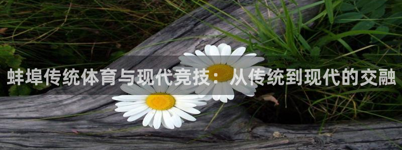 蚌埠传统体育与现代竞技：从传统到现代的交融