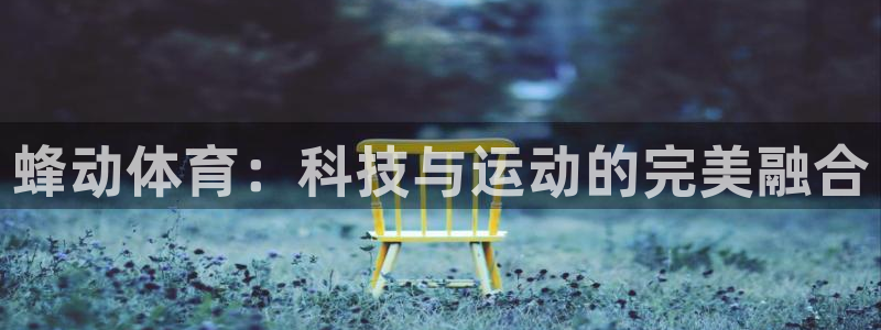 蜂动体育：科技与运动的完美融合