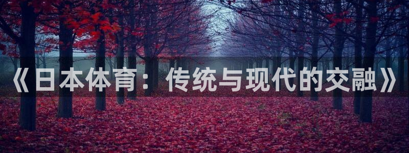 《日本体育：传统与现代的交融》