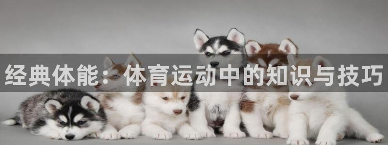 经典体能：体育运动中的知识与技巧