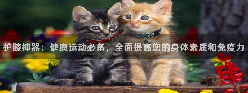 护膝神器：健康运动必备，全面提高您的身体素质和免疫力