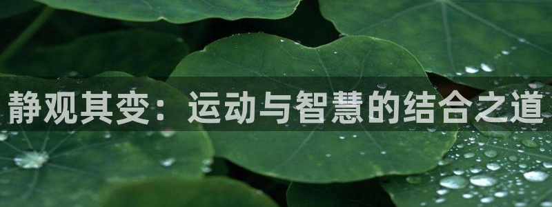 静观其变：运动与智慧的结合之道