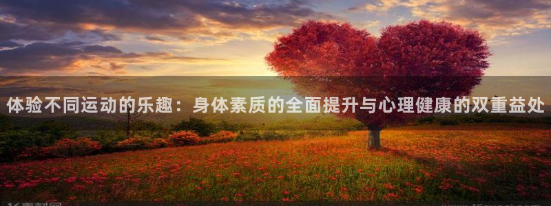 体验不同运动的乐趣：身体素质的全面提升与心理健康的双重益处